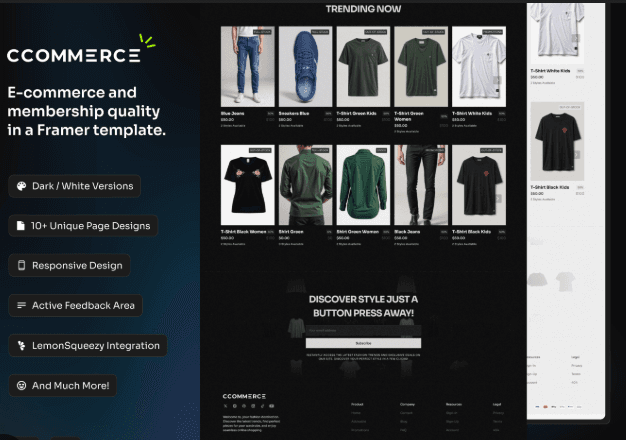 E-commerce showcase